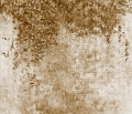 Hedera Mural M 2604-2