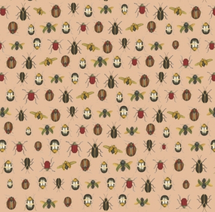 Coleopter Beige 2602_2