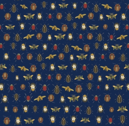 Coleopter Blue 2602_5