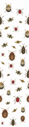 Coleopter Panel P 2602-1