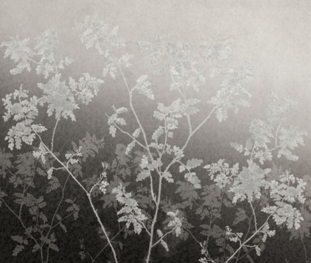 English Garden  