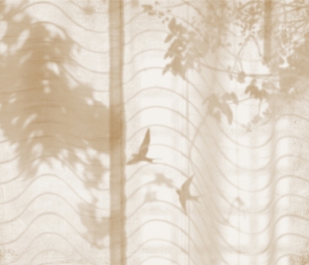 Hortus Umbra Mural M 2609-2