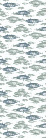 Poissons P2501_1