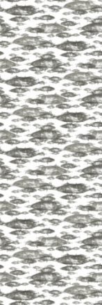 Poissons P2501_2