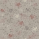 Baranasi 2204_5