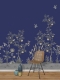 Chinella 204 x 300          